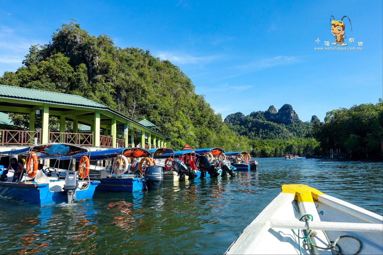 Jelajahi Keindahan Hutan Bakau Langkawi: Mangrove Tour yang Menakjubkan